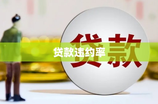 西夏贷款违约率