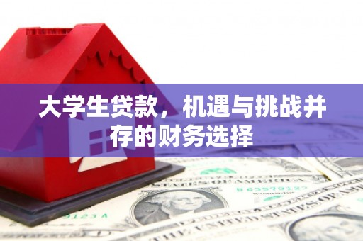 士林大学生贷款，机遇与挑战并存的财务选择