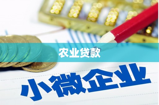荥经农业贷款