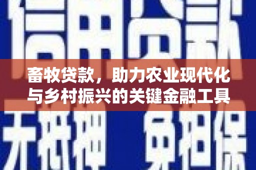 安庆畜牧贷款，助力农业现代化与乡村振兴的关键金融工具