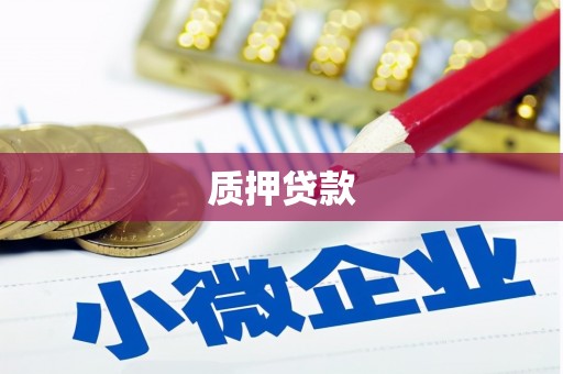 巴青质押贷款