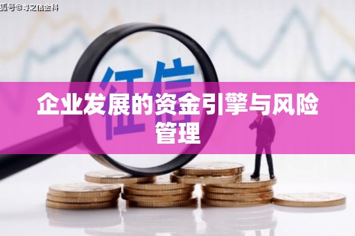 深坑企业发展的资金引擎与风险管理