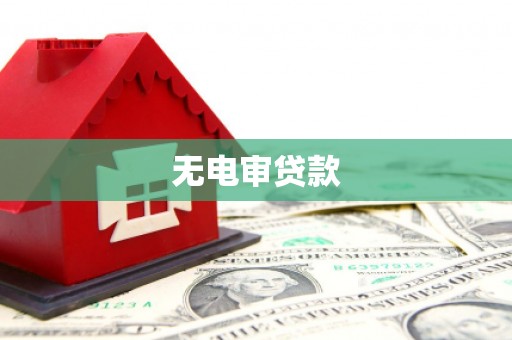 花莲无电审贷款