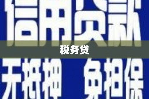 邢台税务贷
