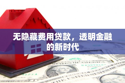 赫山无隐藏费用贷款，透明金融的新时代
