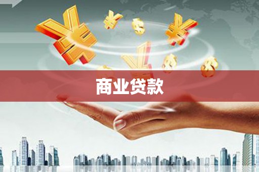 金阳商业贷款