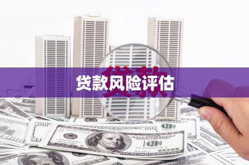 淄博贷款风险评估