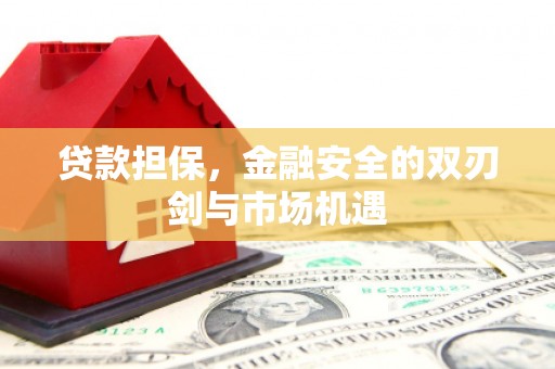 尚义贷款担保，金融安全的双刃剑与市场机遇