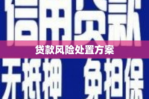 天桥贷款风险处置方案