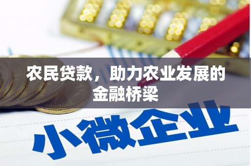 项城农民贷款，助力农业发展的金融桥梁