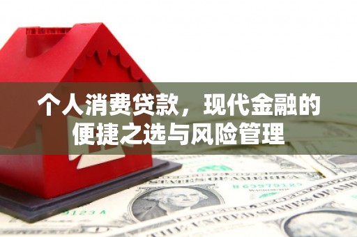 镇巴个人消费贷款，现代金融的便捷之选与风险管理