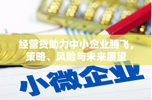 淮阳经营贷助力中小企业腾飞，策略、风险与未来展望