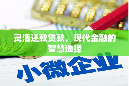 资源灵活还款贷款，现代金融的智慧选择
