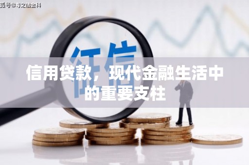 乡城信用贷款，现代金融生活中的重要支柱