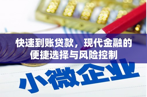 新园快速到账贷款，现代金融的便捷选择与风险控制