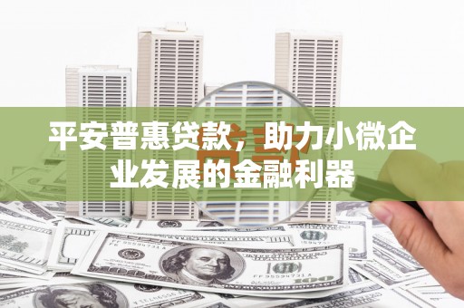 大林平安普惠贷款，助力小微企业发展的金融利器