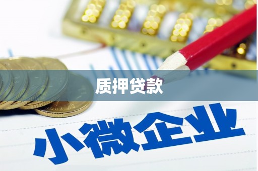 双台子质押贷款