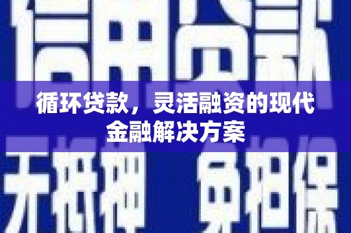 绥滨循环贷款，灵活融资的现代金融解决方案