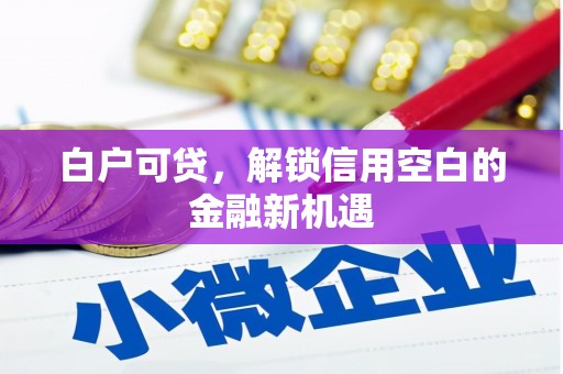 光泽白户可贷，解锁信用空白的金融新机遇