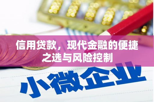 钦北信用贷款，现代金融的便捷之选与风险控制