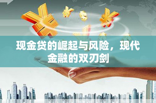 永善现金贷的崛起与风险，现代金融的双刃剑
