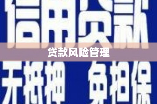 洪江贷款风险管理