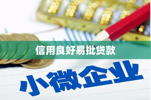 龙游信用良好易批贷款