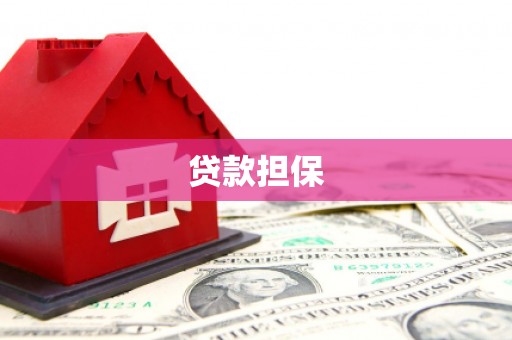 荷塘贷款担保
