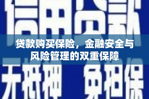 邓州贷款购买保险，金融安全与风险管理的双重保障