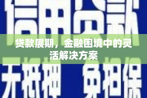 贵定贷款展期，金融困境中的灵活解决方案