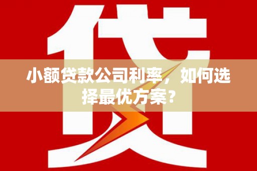 晋州小额贷款公司利率，如何选择最优方案？