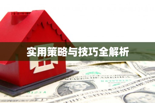 洪洞实用策略与技巧全解析