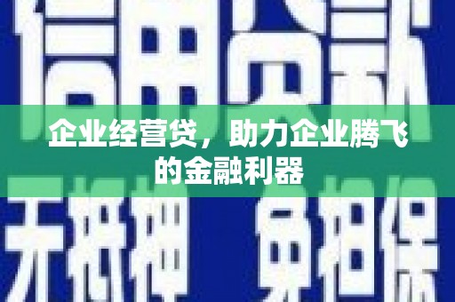 廉江企业经营贷，助力企业腾飞的金融利器