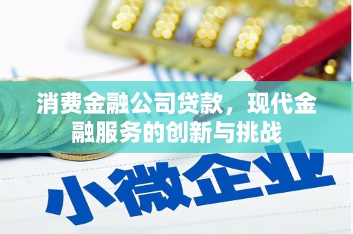 伊犁哈萨克消费金融公司贷款，现代金融服务的创新与挑战