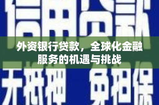囊谦外资银行贷款，全球化金融服务的机遇与挑战