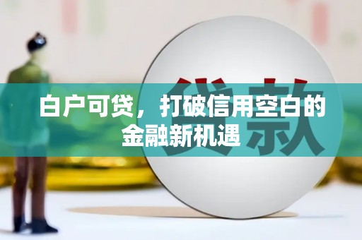 西青白户可贷，打破信用空白的金融新机遇