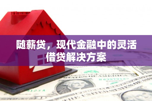 汤阴随薪贷，现代金融中的灵活借贷解决方案