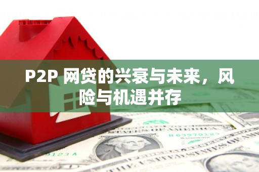 驿城P2P 网贷的兴衰与未来，风险与机遇并存