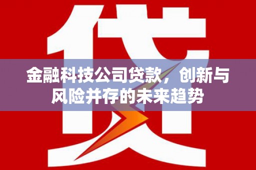 鄂城金融科技公司贷款，创新与风险并存的未来趋势