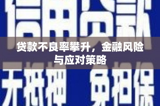 东台贷款不良率攀升，金融风险与应对策略