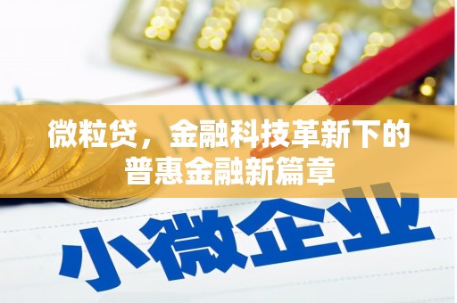 颍泉微粒贷，金融科技革新下的普惠金融新篇章