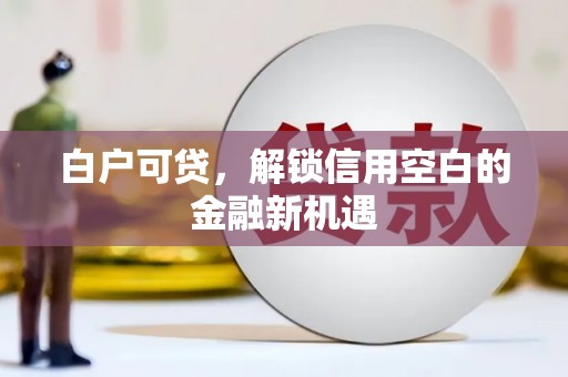 新建白户可贷，解锁信用空白的金融新机遇