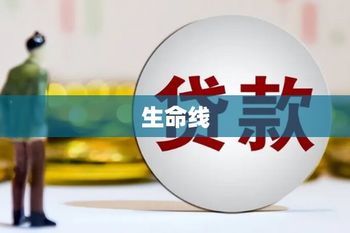 元谋生命线