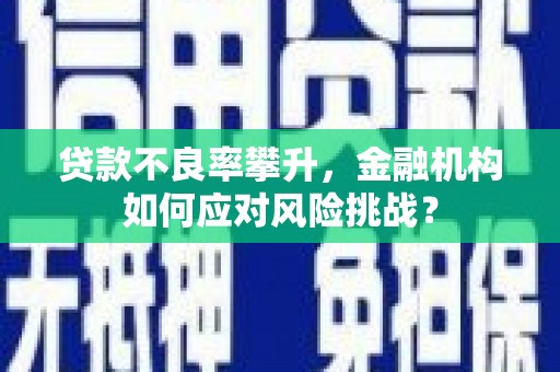 港闸贷款不良率攀升，金融机构如何应对风险挑战？