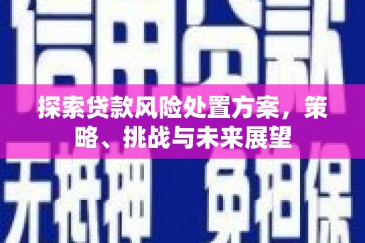 金安探索贷款风险处置方案，策略、挑战与未来展望