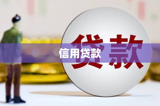 洛南信用贷款