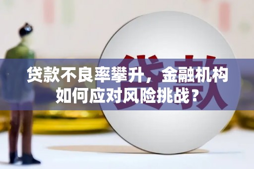 南投贷款不良率攀升，金融机构如何应对风险挑战？