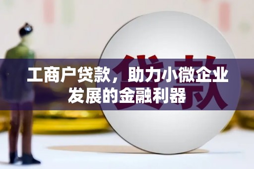 沙鹿工商户贷款，助力小微企业发展的金融利器