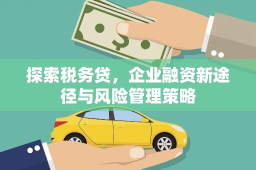 乐昌探索税务贷，企业融资新途径与风险管理策略