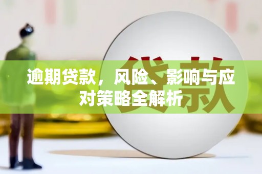 芮城逾期贷款，风险、影响与应对策略全解析